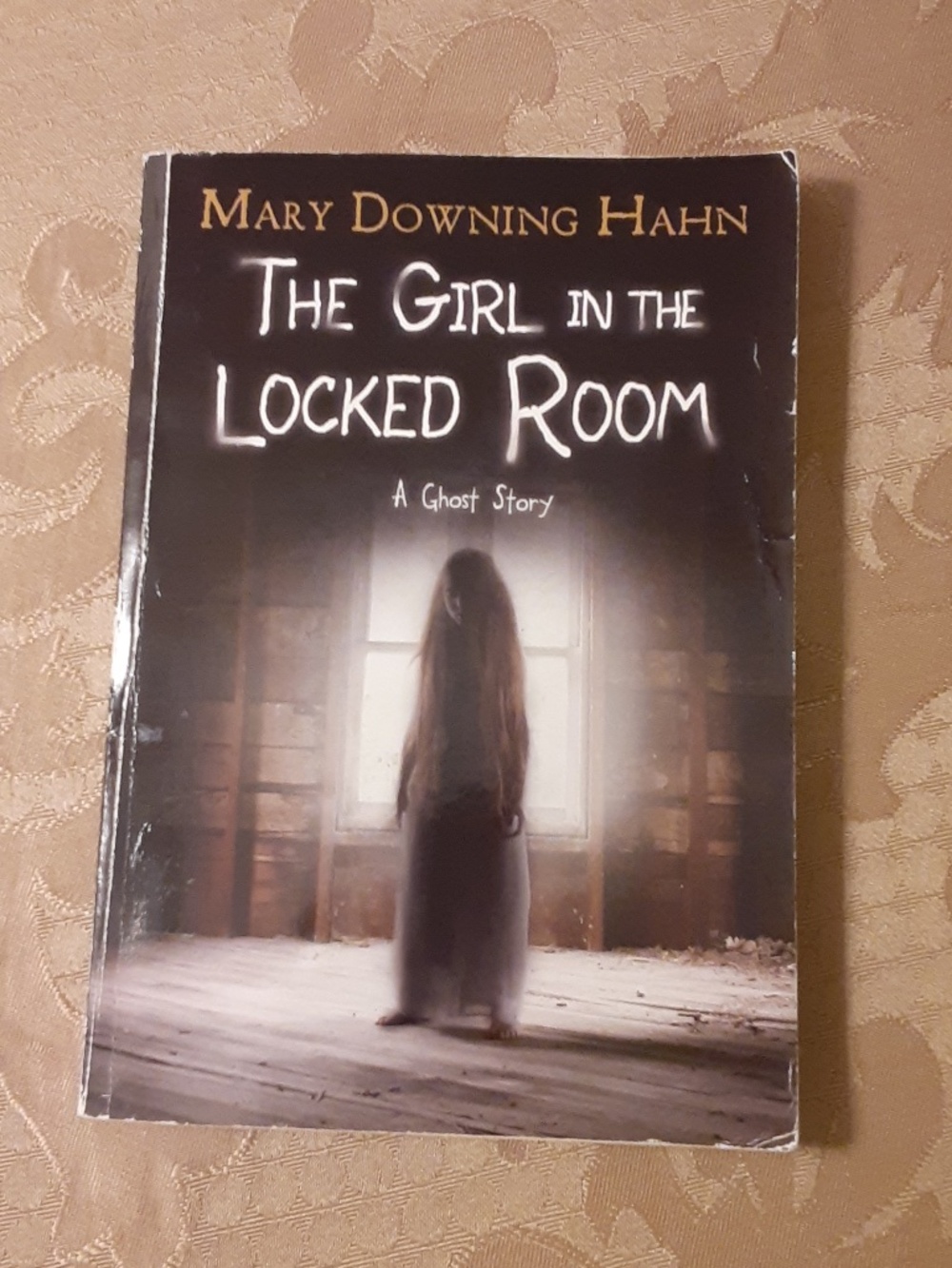 The Girl In The Locked Room Scholastic Paperback Book